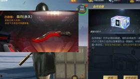 cf手游最新爆料泷战,CF手游全新爆料揭秘